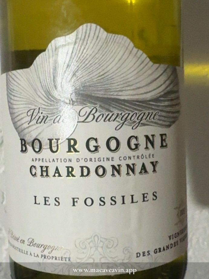 Étiquette de Les Fossiles Bourgogne Chardonnay, Vignerons des Terres Secrètes
