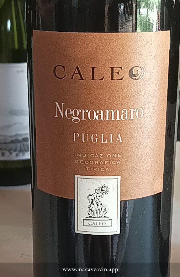Étiquette de Caleo Negroamaro Puglia, Caleo